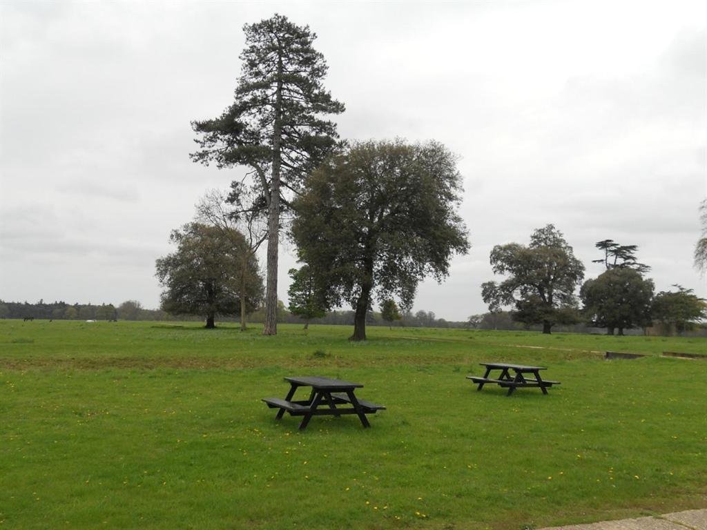 Bed and Breakfast The Stables At Henham Park Southwold Exteriér fotografie