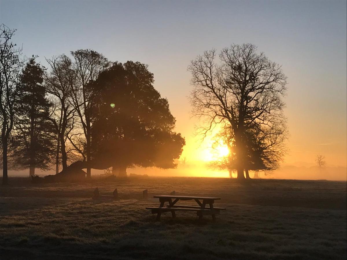 Bed and Breakfast The Stables At Henham Park Southwold Exteriér fotografie