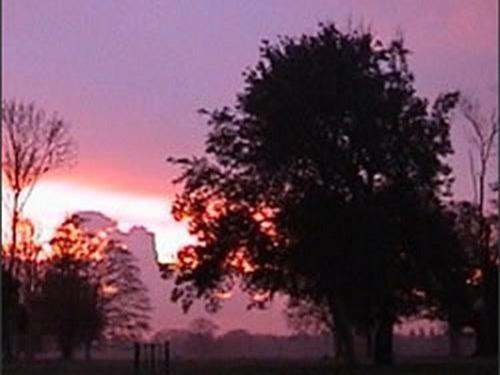 Bed and Breakfast The Stables At Henham Park Southwold Exteriér fotografie